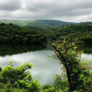 ảnh Phụ Hồ đẹp