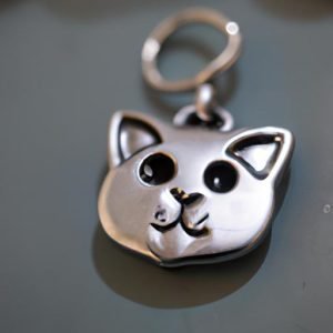 Bán Charm Bạc