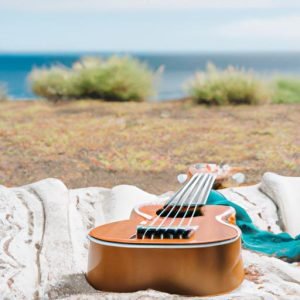 Các Nốt Trên Ukulele