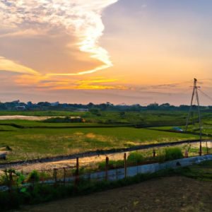 điền Tây Tiểu Ca