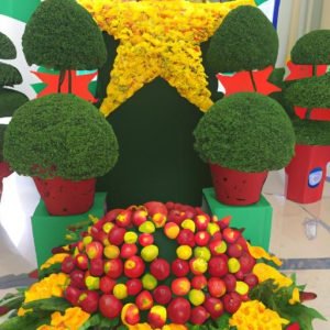 Hoa Quả Chiến đấu