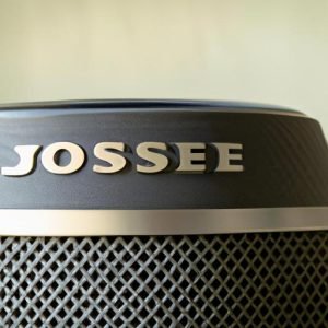 Loa Bose 4.2