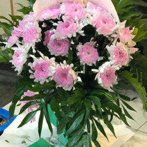 Mau Hoa Bi Ngo Quoc Linh