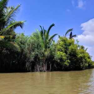 Nguyễn Trãi Cần Thơ