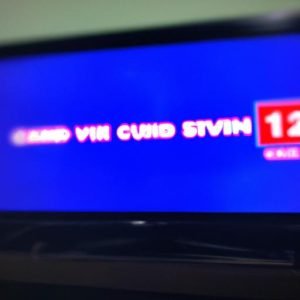 Sctv12