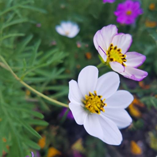 So sánh tính năng camera của V30 và S8.