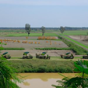 Sự Trở Về Của Các đế Vương