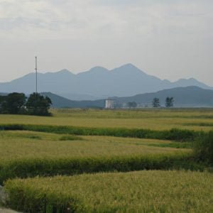 Thôn Phương Cầu
