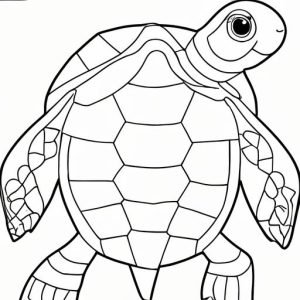 Tô Màu Rùa