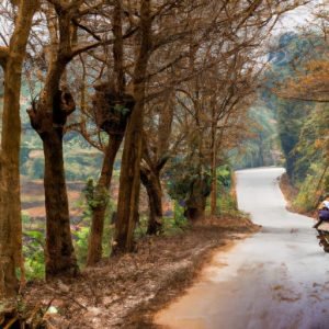 Tuyển Lái Xe Tại Bắc Giang Mới Nhất
