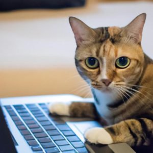 Cách Chèn ảnh Vào Html