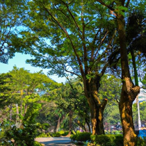 Công viên thơ mộng nằm trong khu đô thị 241 Trường Chinh.
