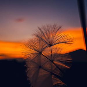 Mây đối Lưu