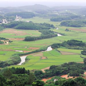 Tân Phước Hưng Phụng Hiệp Hậu Giang
