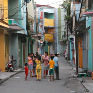 The Sims Viet Hoa