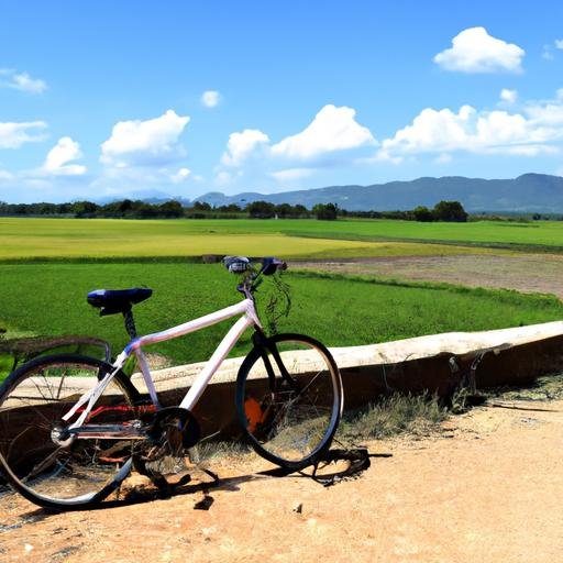 Một chiếc xe đạp đậu trước phong cảnh đồng quê đẹp như tranh ở Cai Lậy
