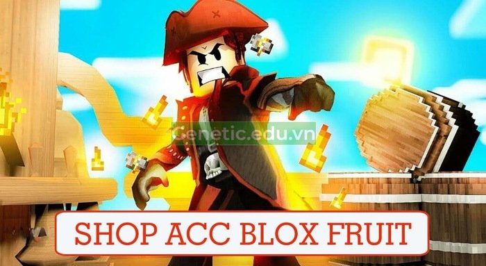 Tặng acc Blox Fruit Vip Free - Hình ảnh 1
