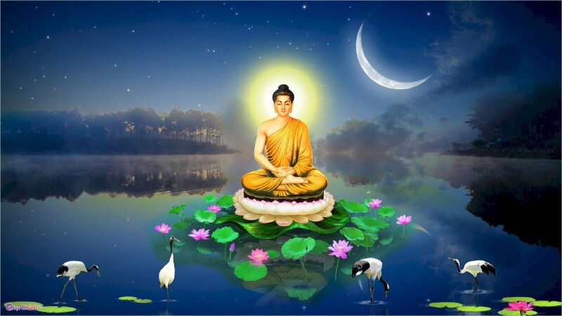 Ảnh bìa Phật ngồi trên đài sen hòa bình