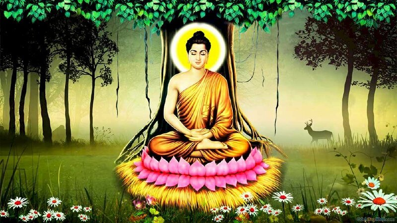 Ảnh bìa Phật hòa bình