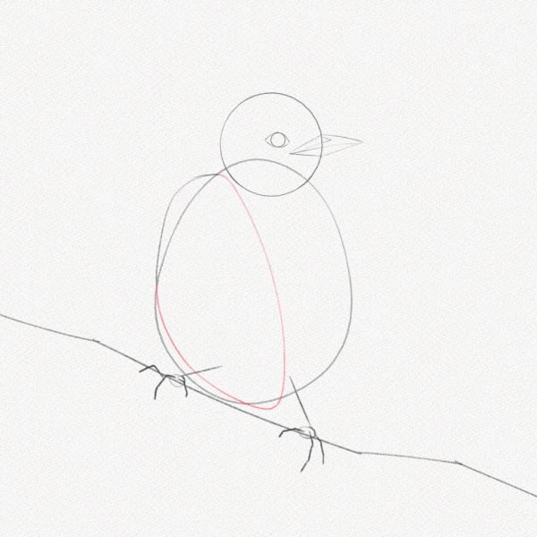 ve con chim 3469 15 16 Hướng dẫn cách vẽ con chim đơn giản chi tiết các bước
