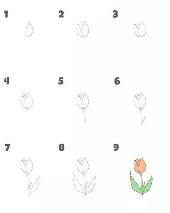 cách vẽ hoa tulip đơn giản mà đẹp