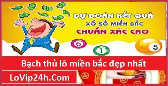 bạch thủ lô miền bắc đẹp nhất