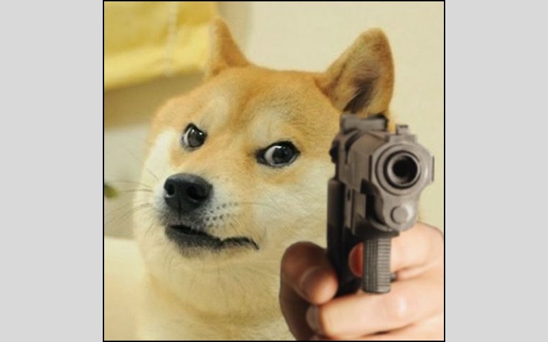 Meme chó cầm súng 3