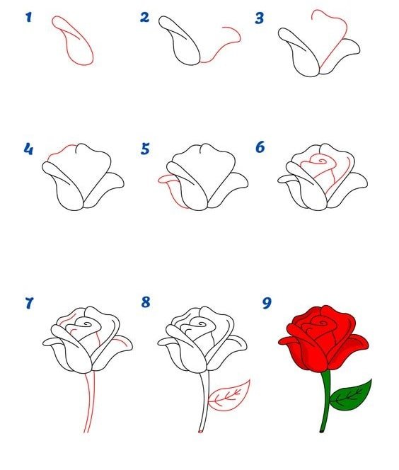 cách vẽ hoa hồng đẹp