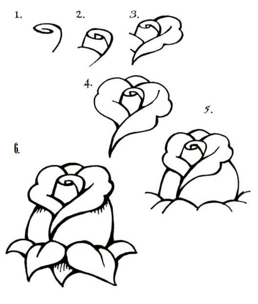 cách vẽ hoa hồng đơn giản nhất