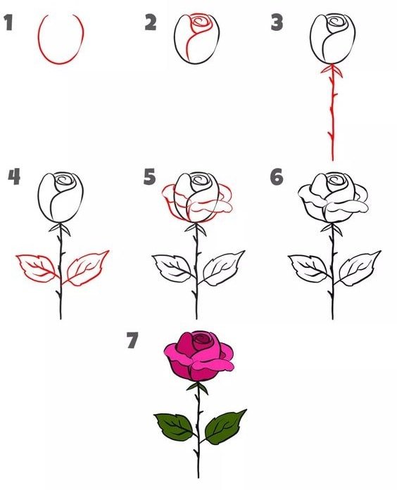 cách vẽ hoa hồng nở