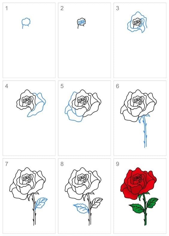 cách vẽ hoa hồng bằng bút chì đẹp nhất