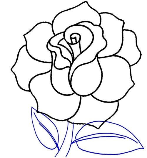 cách vẽ hoa hồng bước 8