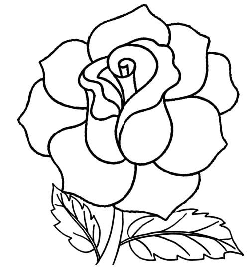 cách vẽ hoa hồng bước 9