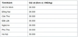 Báo Giá Vịt Hôm Nay: Cập Nhật Mới Nhất Từ Các Nguồn Uy Tín