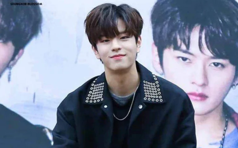 Seungmin (Stray Kids)