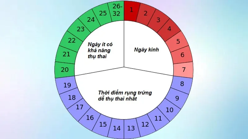 Bảng tính chu kỳ kinh nguyệt