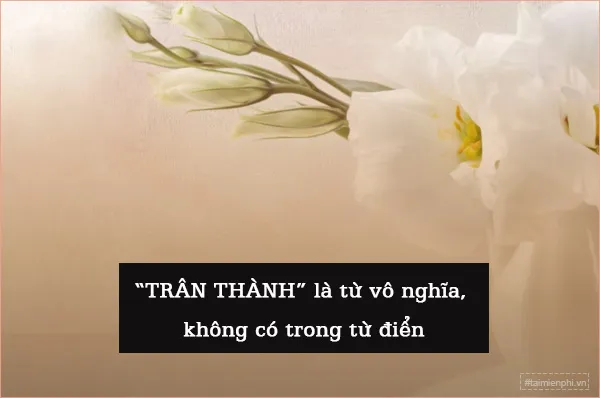 Trân thành hay chân thành 