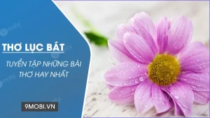 Thơ Lục Bát - Những vần thơ hay