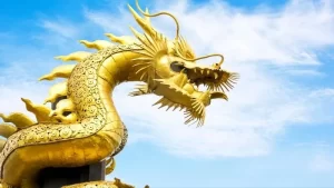 sinh nam canh thin 2000 thuoc menh gi hop voi ai 202210131104019173 11zon 1