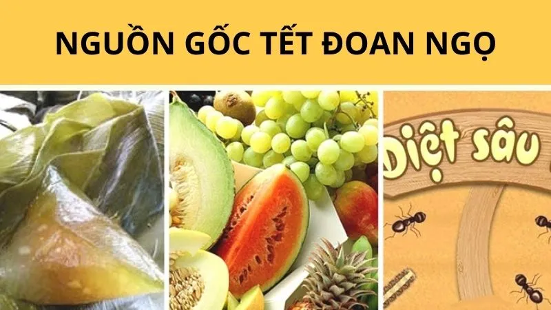 Tết Đoan Ngọ là ngày gì?