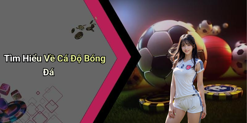Cá Độ Bóng Đá: Hướng Dẫn Chi Tiết Và Cách Thức Tham Gia 4 Tìm Hiểu Về Cá Độ Bóng Đá