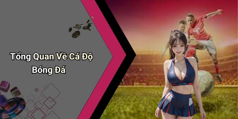 Cá Độ Bóng Đá: Hướng Dẫn Chi Tiết Và Những Điều Cần Biết 4 Tổng Quan Về Cá Độ Bóng Đá